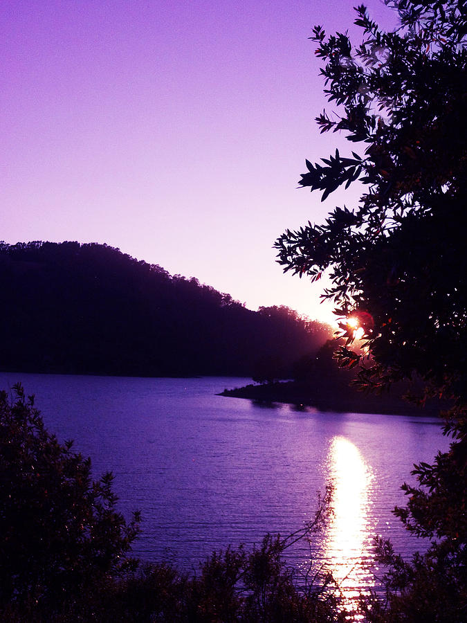 Lake Chabot on a Summer Eve Photograph by Barbara J Blaisdell