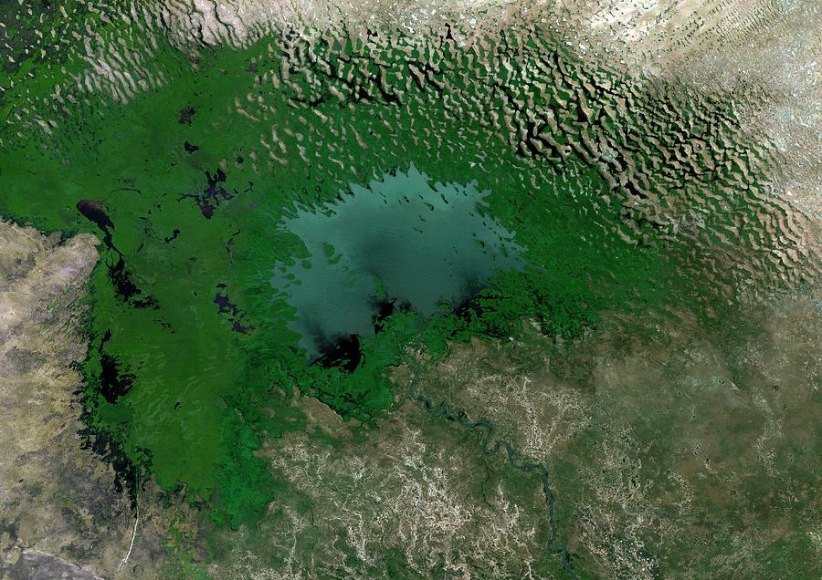 Lake Chad Photograph by Planetobserver/science Photo Library