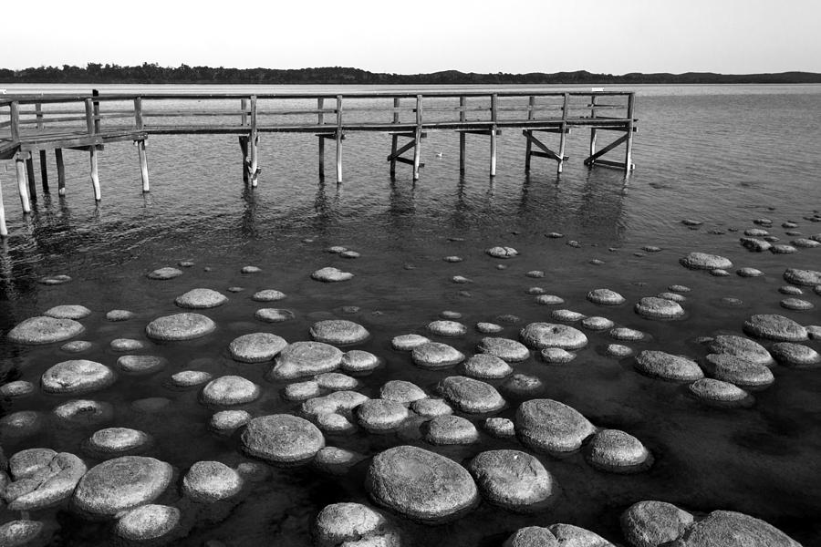 Lake Clifton Thrombolites Photograph by Robert Caddy