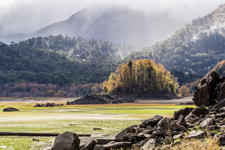 Lake Conguillio In Fall Season Photograph by Flavio Camus