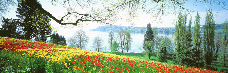 Lake Constance, Insel Mainau, Germany Photograph by Panoramic Images