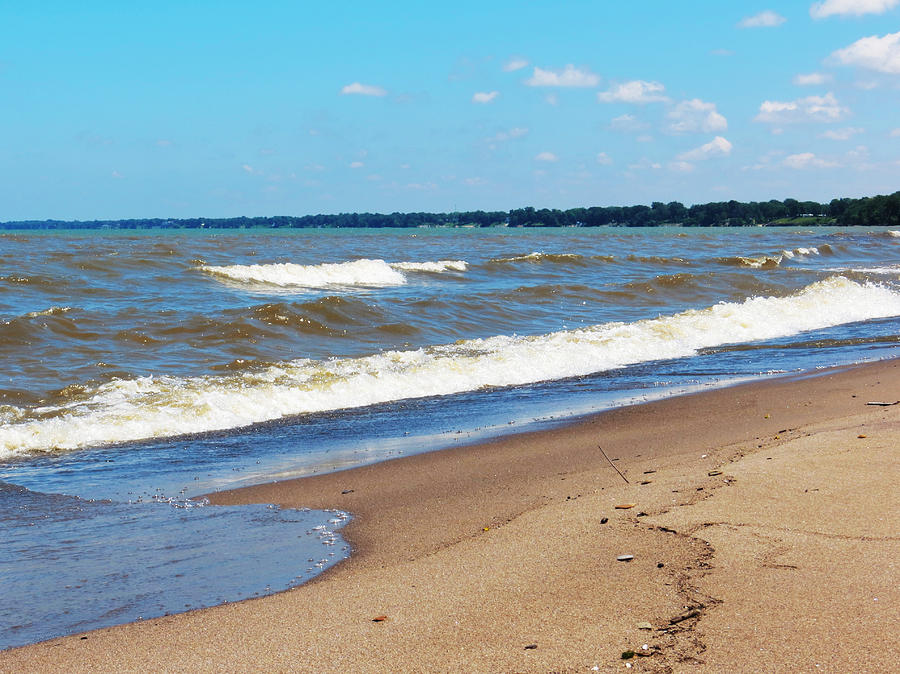 Lake Erie in June Photograph by Shawna Rowe