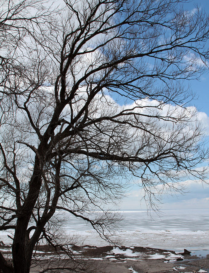 Lake Erie in March Photograph by John Freidenberg