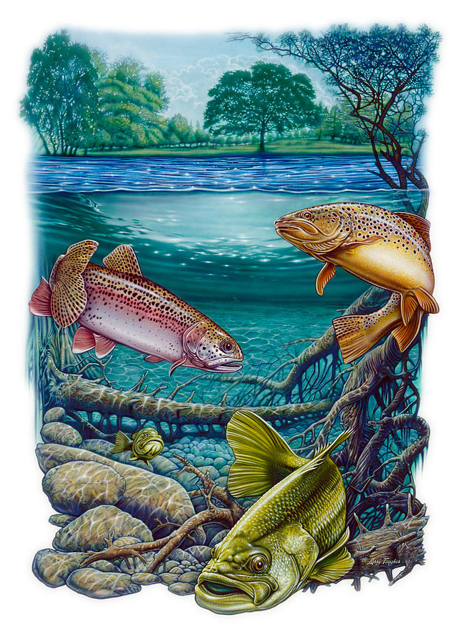 Lake Fish Painting by JQ Licensing