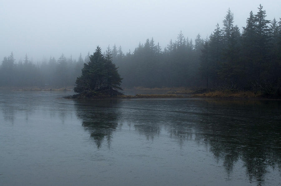 Winter Photograph - Lake Fog by Cathy Mahnke