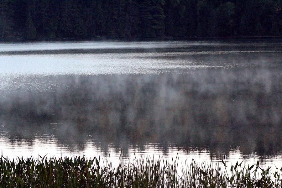 Lake Fog Photograph by Margaret Hamilton