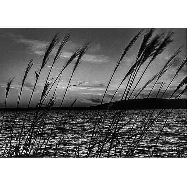 Lake Geneva Photograph by Aran Ackley
