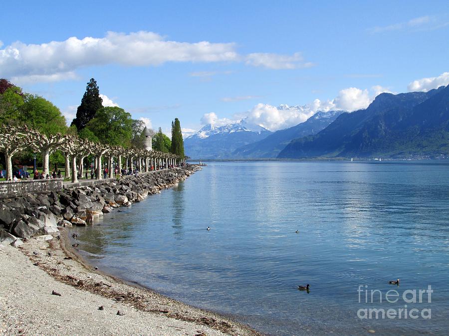 Lake Geneva Shoreline Photograph by Lynellen Nielsen