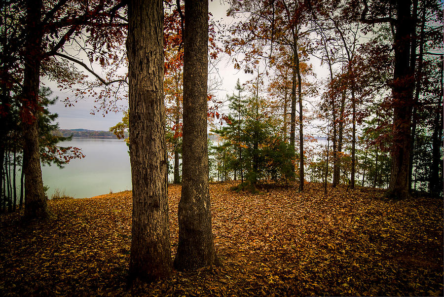 Lake Hartwell Autumn Photograph by Steve DuPree
