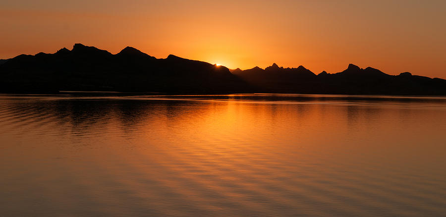 Lake Havasu Sunrise Photograph by Avian Resources