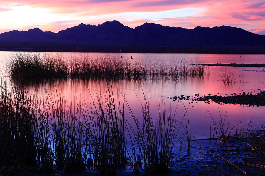 Lake Havasu Sunset Photograph by Eric Foltz