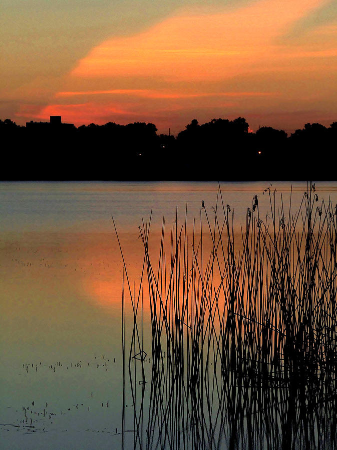 Lake Howard Sunrise 001 Photograph by Christopher Mercer