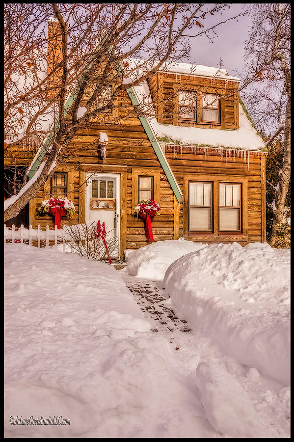 Lake Huron Cabins Shoveled walk Photograph by LeeAnn McLaneGoetz ...