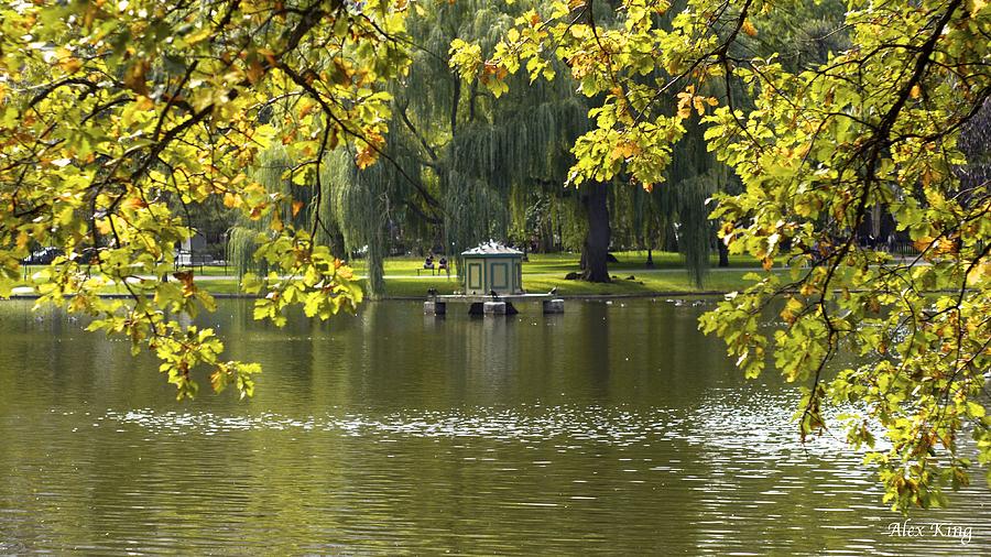 Lake in Boston Park Photograph by Alex King
