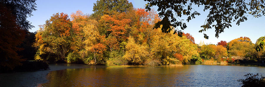 Lake in Central Park in Fall Photograph by Yue Wang