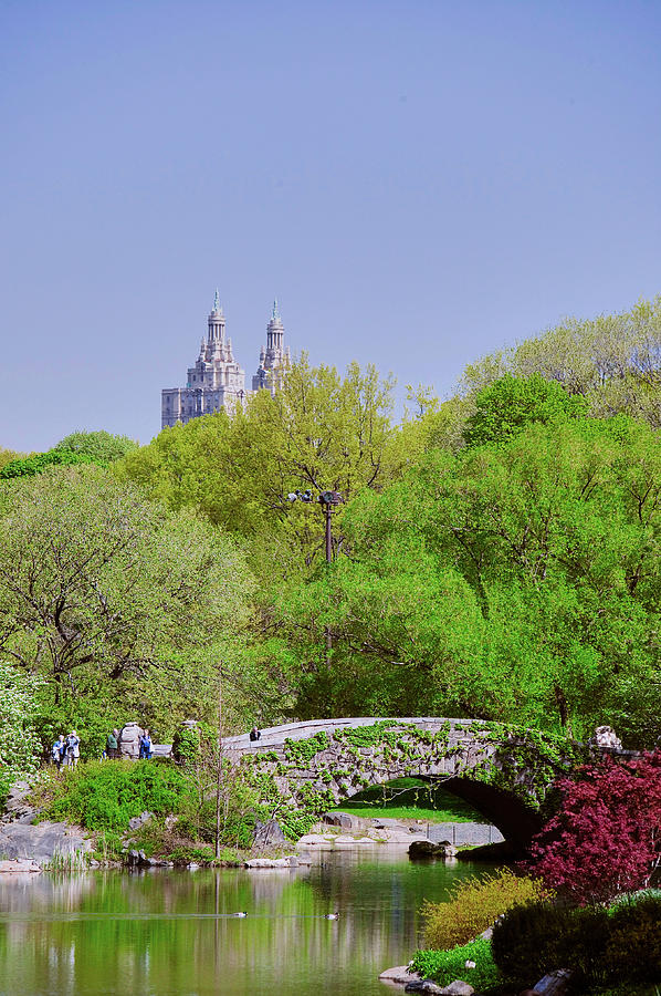 Lake In Central Park In Spring Photograph by Panoramic Images