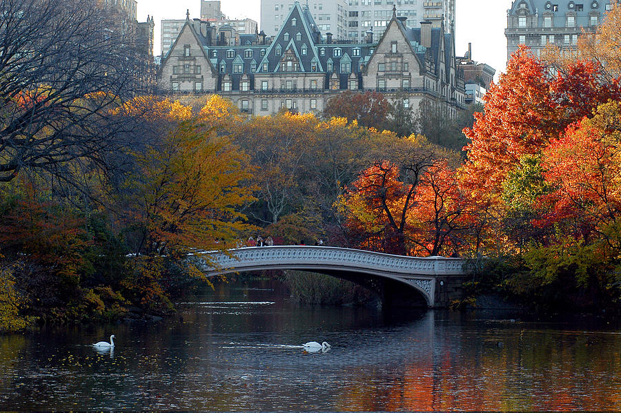 Lake in Central Park Photograph by Yue Wang
