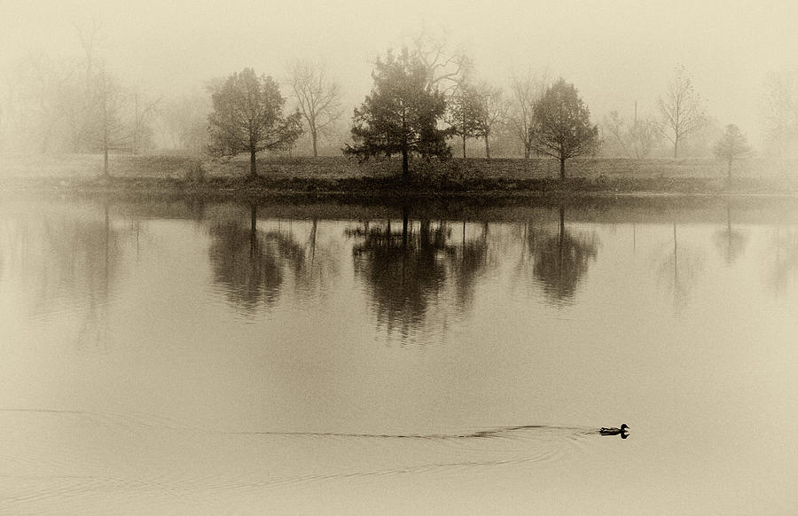 Lake in Fog Sepia II Photograph by Tony Grider