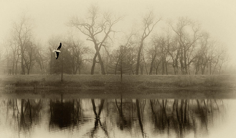 Landscape Photograph - Lake in Fog Sepia by Tony Grider