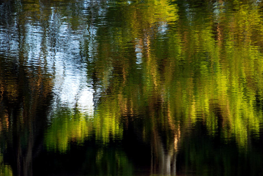 Lake In Green Photograph by Lorenzo Cassina