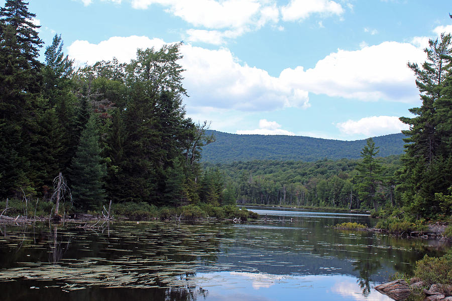Lake in the Adirondacks Photograph by Susan Jensen