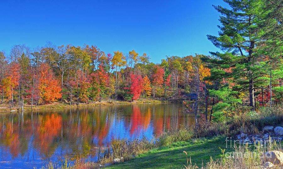 Lake in the Woods Photograph by Rodney Campbell