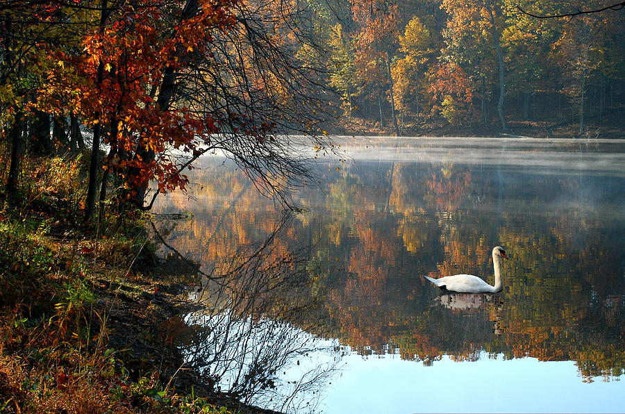 Lake in Virginia Photograph by Yue Wang