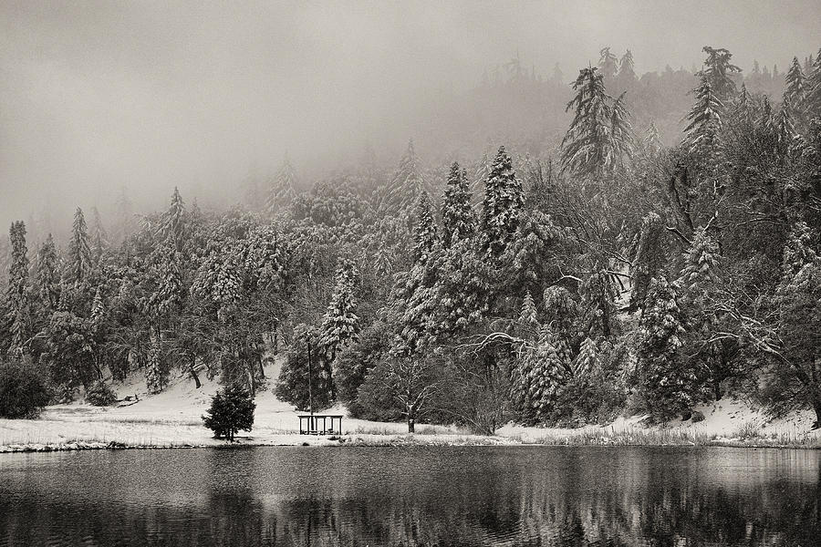 Lake in winter Photograph by Hugh Smith