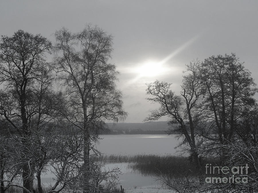 Winter Photograph - Lake in Winter by Lutz Baar