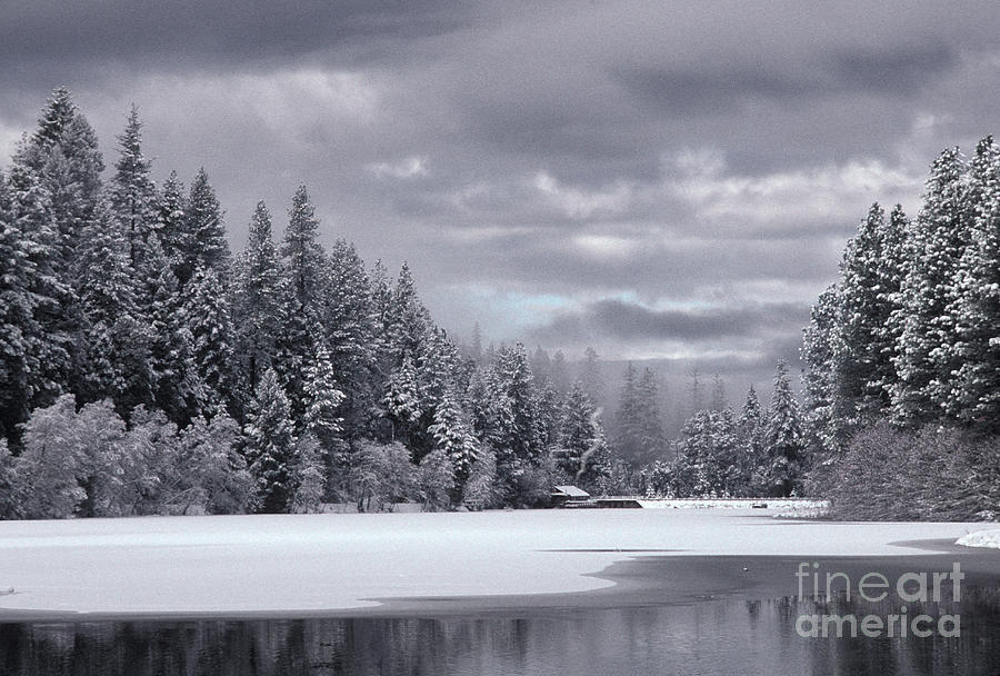 Winter Photograph - Lake In Winter by Ron Sanford