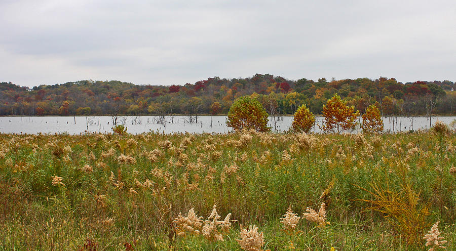 Lake Jacomo Autumn Photograph by Ellen Tully