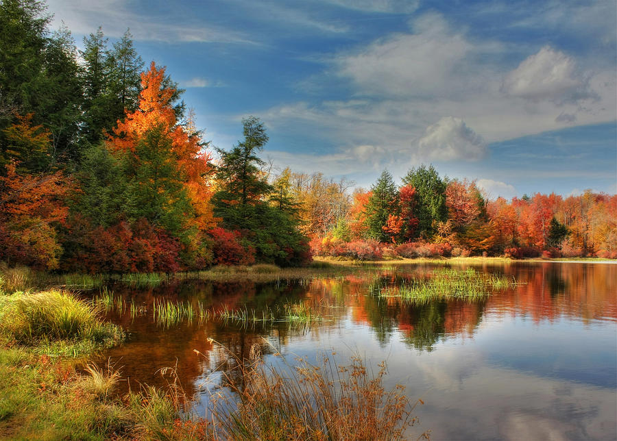 Lake Jean Reflections Photograph by Lori Deiter - Fine Art America