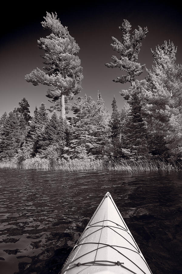 Summer Photograph - Lake Kayaking BW by Steve Gadomski