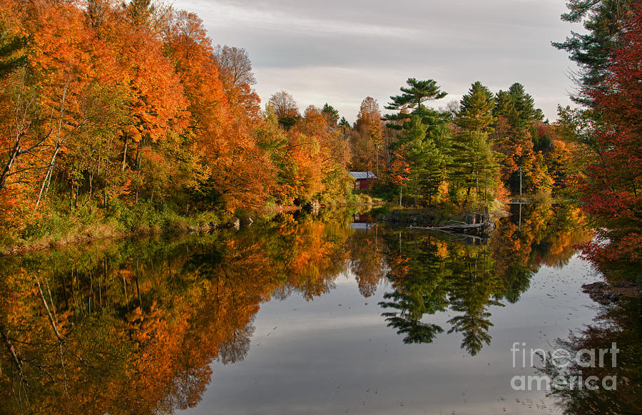 Lake Lamoille With Fall Foliage, Vt Photograph by Bill Bachmann