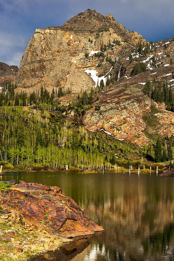 Lake Lillian Photograph by Kevin Rowe | Fine Art America