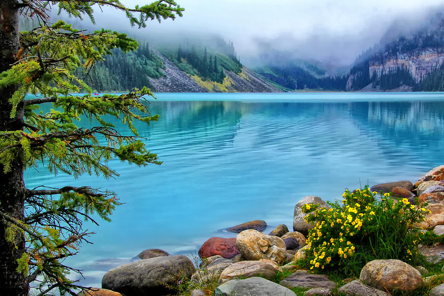 Lake Louise on a cloudy day Photograph by Carolyn Derstine