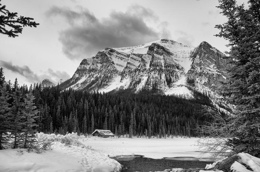Lake Louise Under Snow Photograph by Guy Whiteley