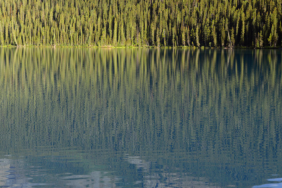Lake Louise Photograph by Yue Wang
