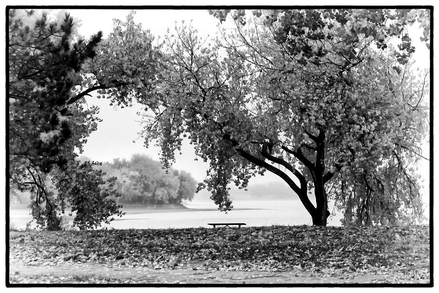Lake Maloney Autumn - Black and White Photograph by Bill Kesler