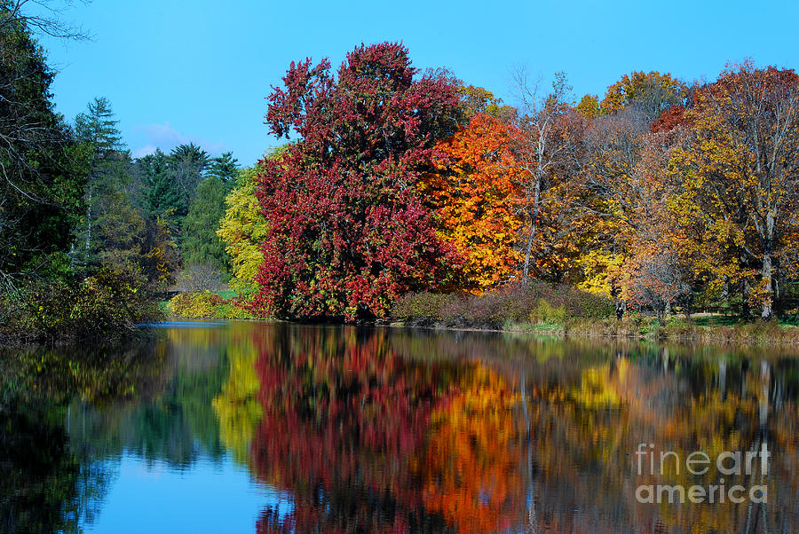 Lake Marmo Reflections Photograph by Nancy Mueller