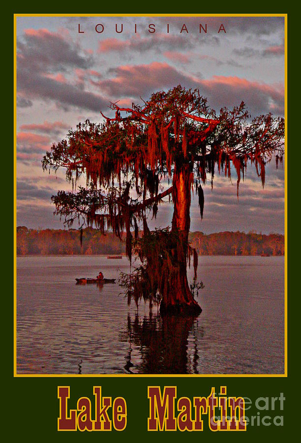 Lake Martin Louisiana Photograph by Kimo Fernandez