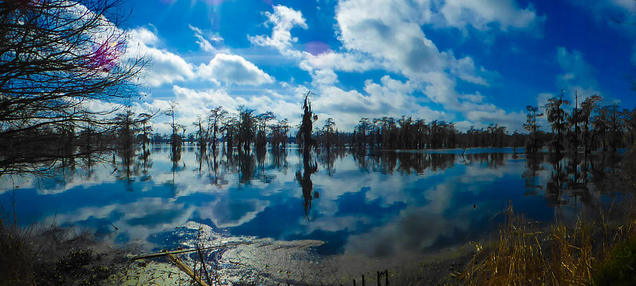Lake Martin Louisiana January Photograph by Kimo Fernandez