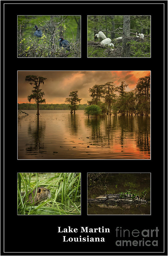 Lake Martin Louisiana Poster Photograph by Priscilla Burgers