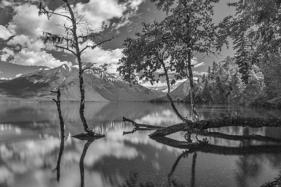 Lake McDonald Photograph by Johan Elzenga