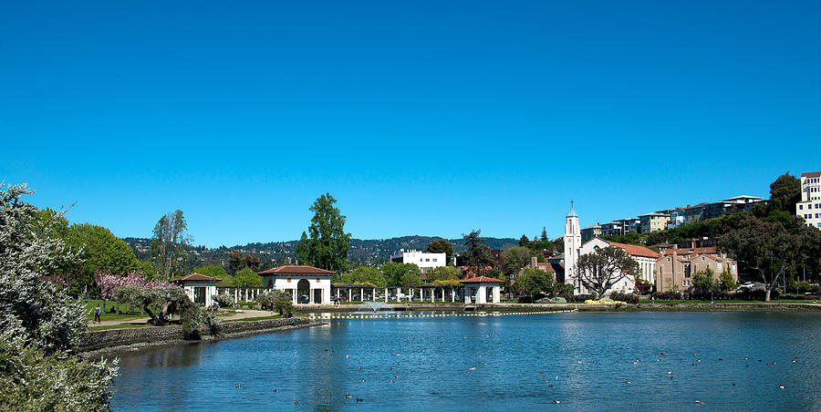 Lake Merritt In Springtime, Oakland Photograph by Panoramic Images