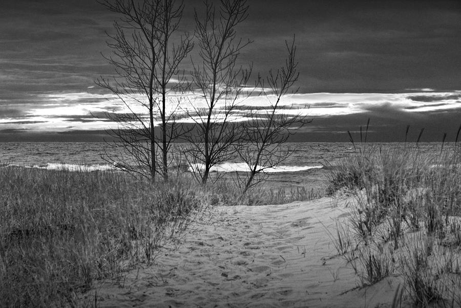 Lake Michigan Beach at Sunset in Black and White Photograph by Randall Nyhof