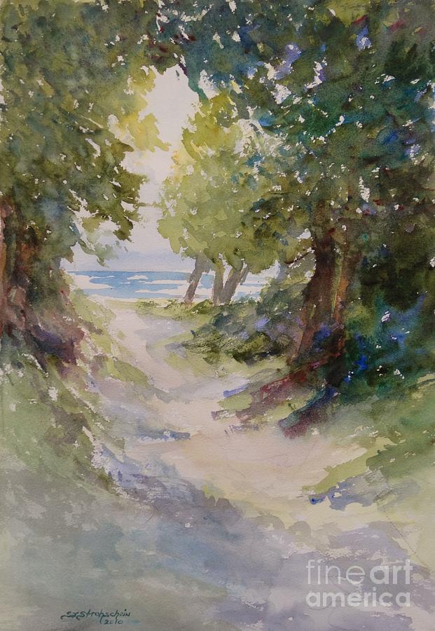 Lake Michigan Beach Path Painting by Sandra Strohschein