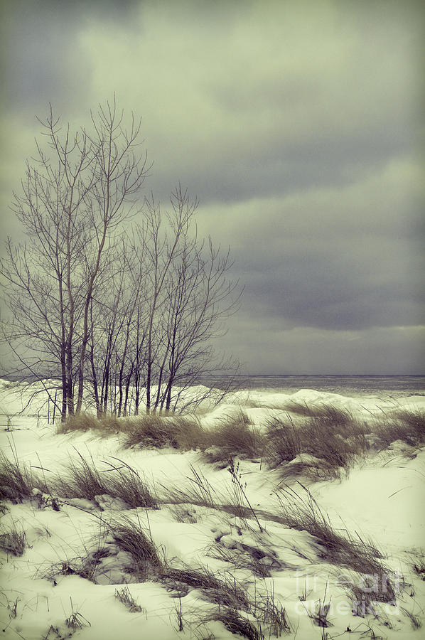 Lake Michigan Shore in Winter Photograph by Jill Battaglia