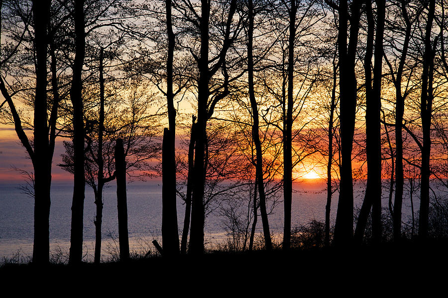 Lake Michigan Sunset with Silhouetted Trees Photograph by Mary Lee Dereske