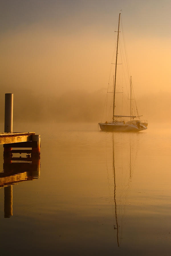 Lake Mist Photograph by Darren Howse